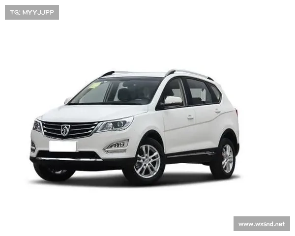 一张图告诉你悦翔家族60万销量神话是如何缔造的