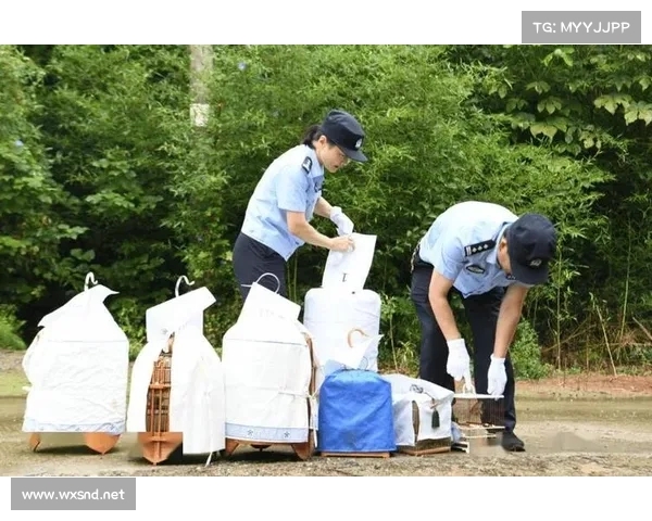 京小槌普法 _ 野生动物保护有法可依 非法狩猎、买卖万万不行 京小槌普法 _ 野生动物保护有法可依 非法狩猎、买卖万万不行